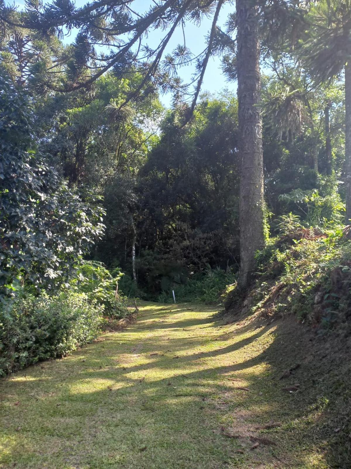 Casa Ampla E Aconchegante Em Gramado Villa Eksteriør bilde